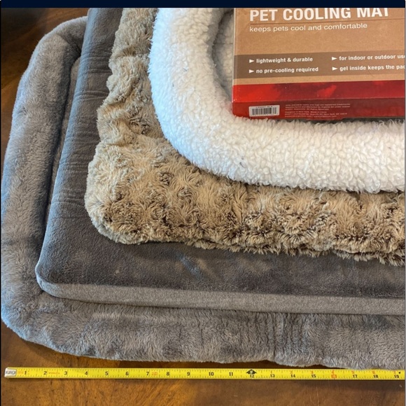 Make an offer. Everything you need for a small dog! - Picture 2 of 3